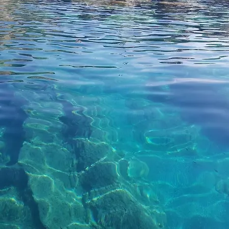 Casa Michelina Belvedere Marittimo